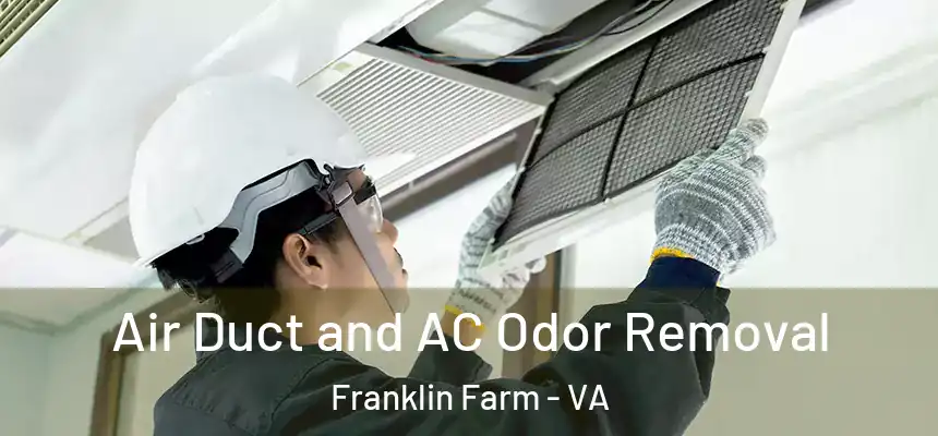  Air Duct and AC Odor Removal Franklin Farm - VA