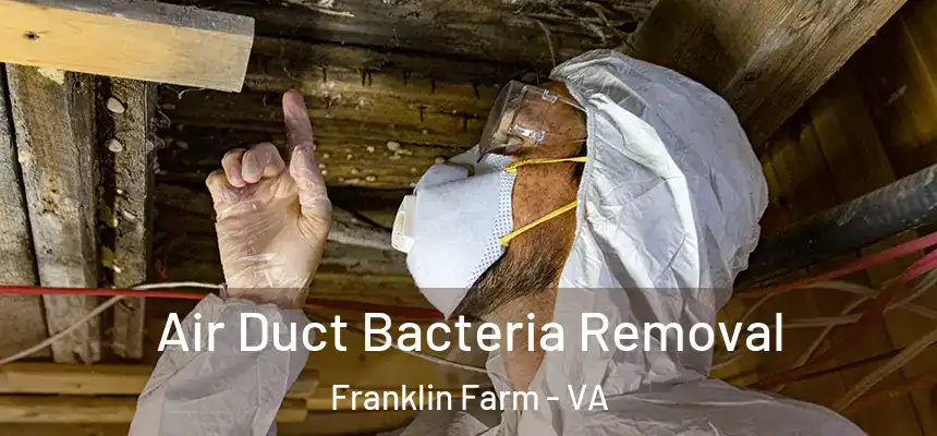  Air Duct Bacteria Removal Franklin Farm - VA