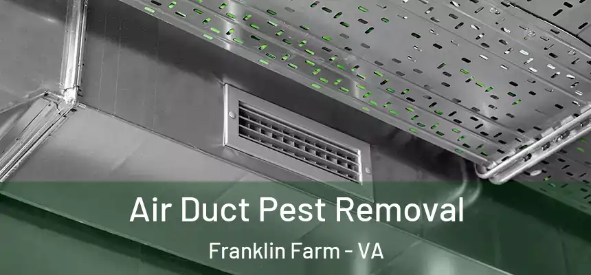  Air Duct Pest Removal Franklin Farm - VA