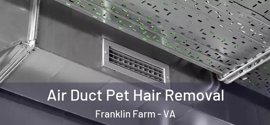  Air Duct Pet Hair Removal Franklin Farm - VA