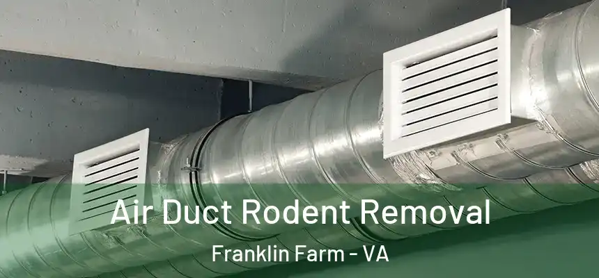  Air Duct Rodent Removal Franklin Farm - VA