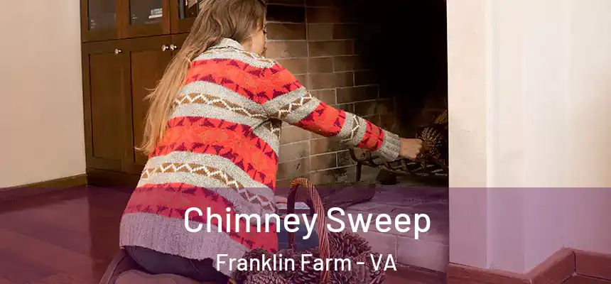  Chimney Sweep Franklin Farm - VA