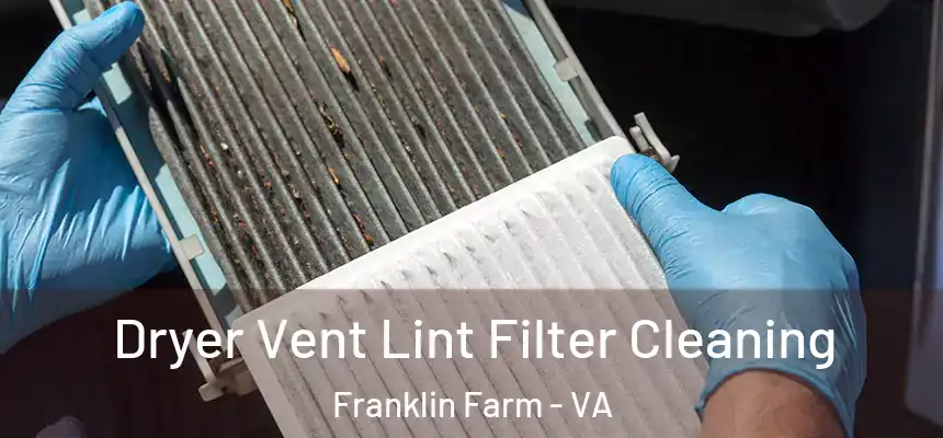 Dryer Vent Lint Filter Cleaning Franklin Farm - VA