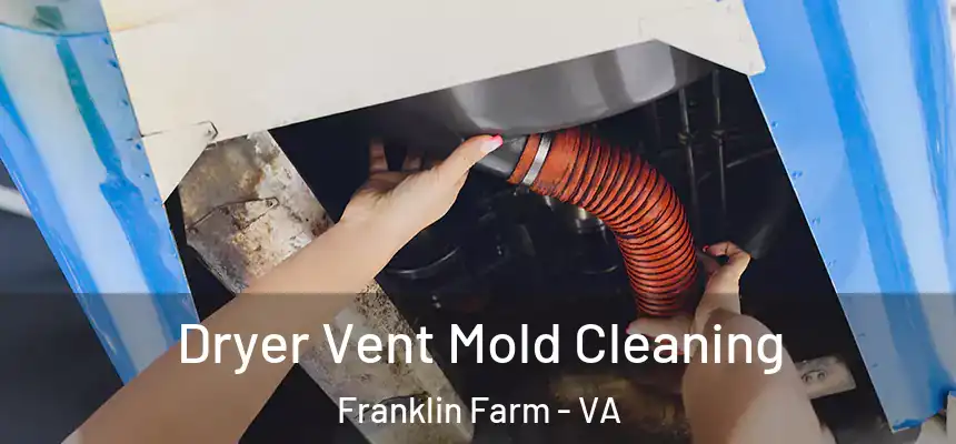  Dryer Vent Mold Cleaning Franklin Farm - VA