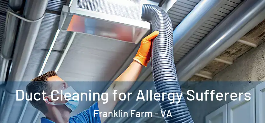  Duct Cleaning for Allergy Sufferers Franklin Farm - VA