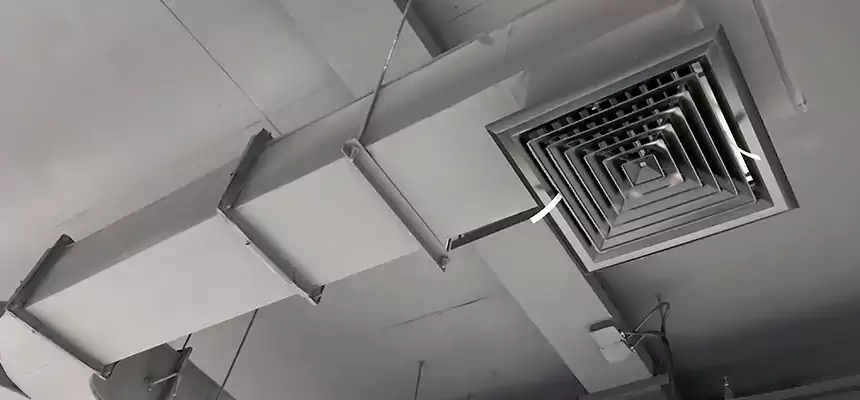 Restorative Allergy Relief Vent Cleaning – Coil, Blower & Housing Detail in Franklin Farm