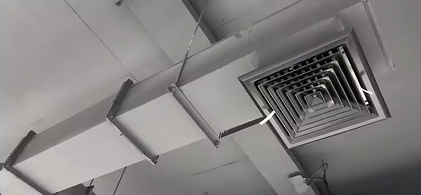 Our Rodent Droppings In Vents Services in Franklin Farm, VA