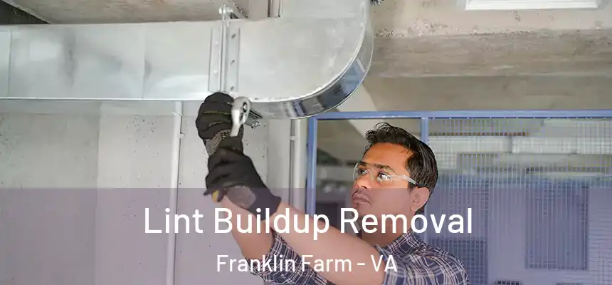 Lint Buildup Removal Franklin Farm - VA