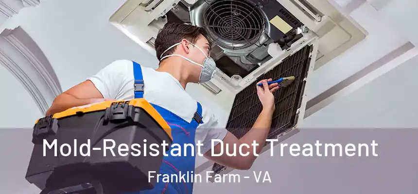  Mold-Resistant Duct Treatment Franklin Farm - VA