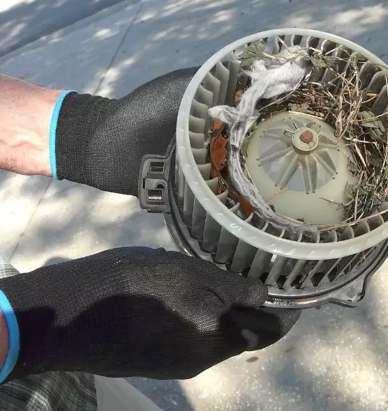 About Air Duct Mice Removal in Franklin Farm, VA