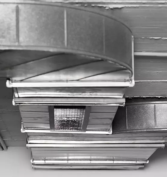 Professional Air Duct Pest Removal in Franklin Farm, VA