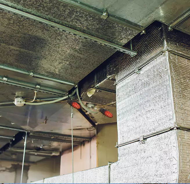 Why Homeowners & Businesses Trust Us in Franklin Farm, VA?