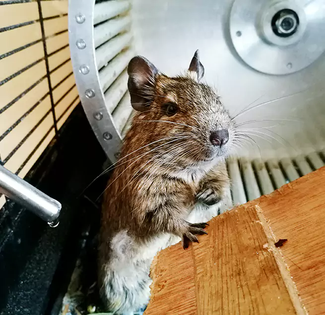 Why Homeowners & Businesses Trust Us Franklin Farm, VA